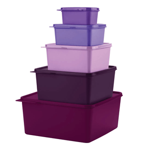 Kit 5 Peças Basic Line- Tupper